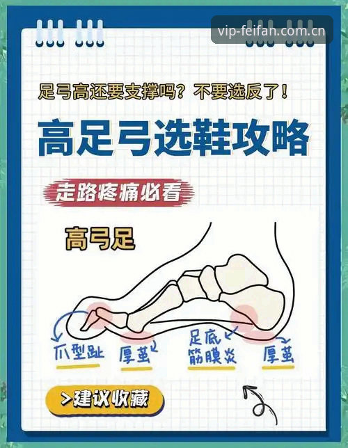 非凡体育最新下载 深度揭秘非凡体育最新下载:新手入门完整指南,避开这些坑!